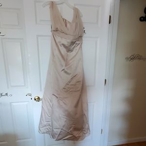 Champagne Dress from David's Bridal